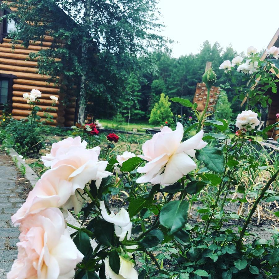 Gostynna Sadyba Kit Bayun Teterivka Exterior photo